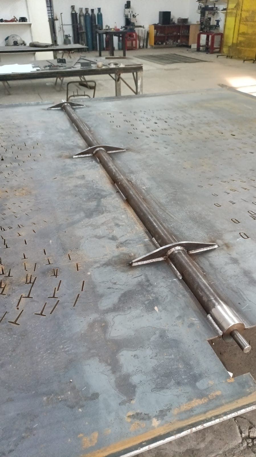 Entrance door — pivot construction detail