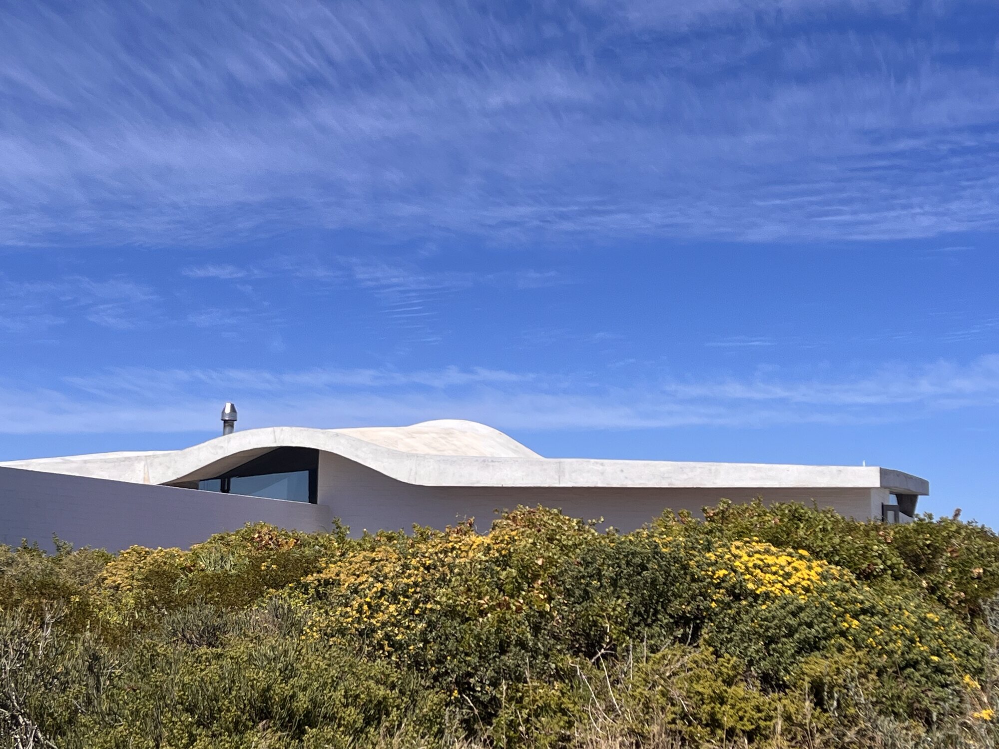 House Yzerfontein — freeform concrete shell rising above flowering fynbos, West Coast